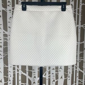 Express Fishnet Scuba Fabric Mini Skirt